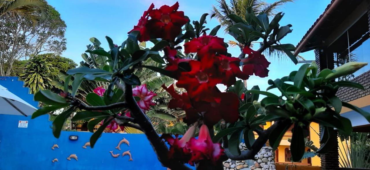 Pousada A Flor Da Terra 포르투세구로 외부 사진