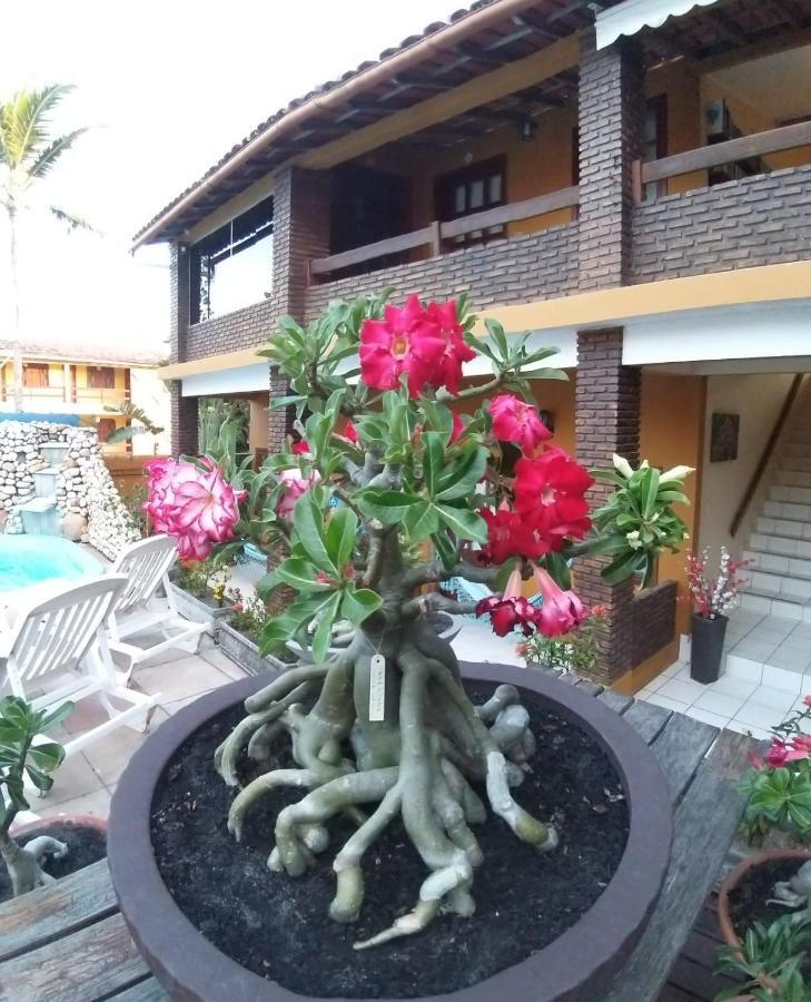Pousada A Flor Da Terra 포르투세구로 외부 사진