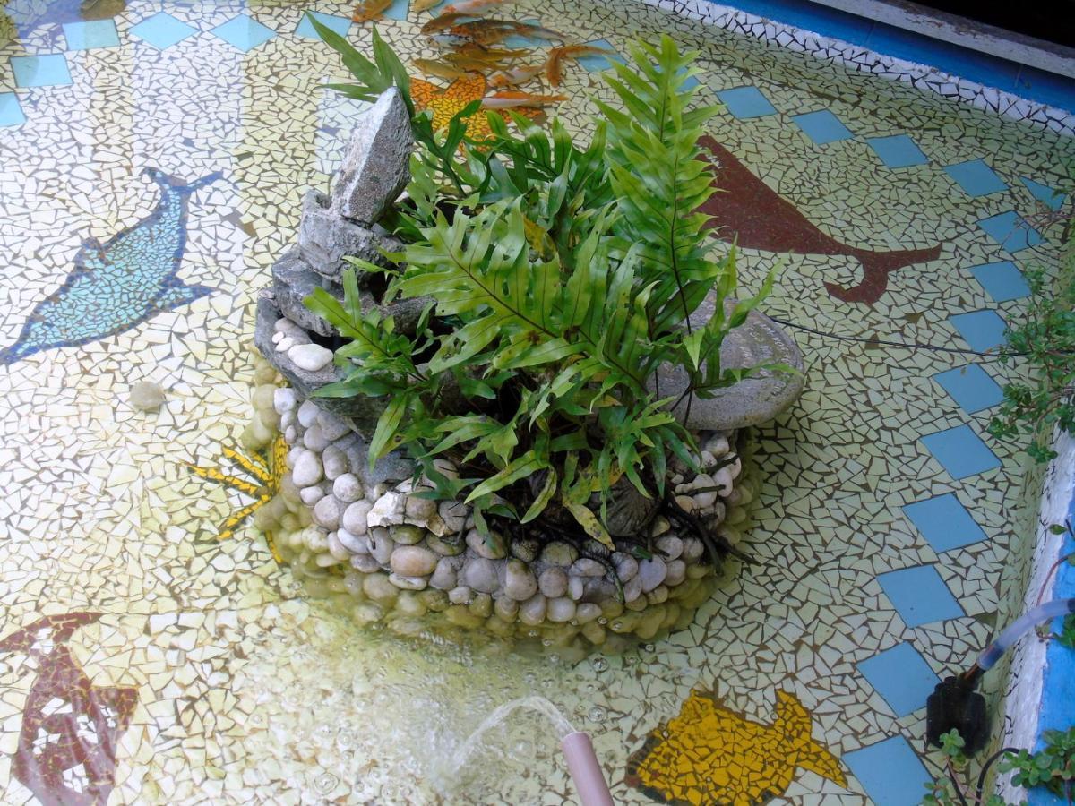 Pousada A Flor Da Terra 포르투세구로 외부 사진
